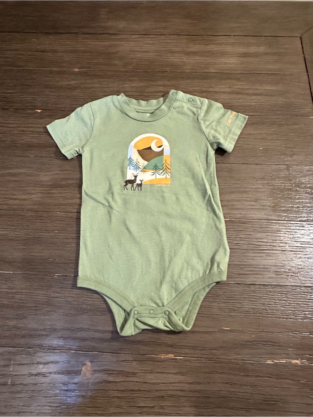 Sz 18mth Carhartt Green Scenic Moose Graphic Baby One-Piece